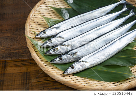 竹ざるに盛られた新鮮なサンマ 120510448