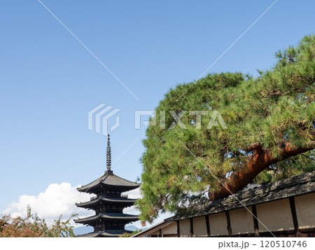 京都の観光名所八坂の塔 京都の観光名所八坂の塔 120510746