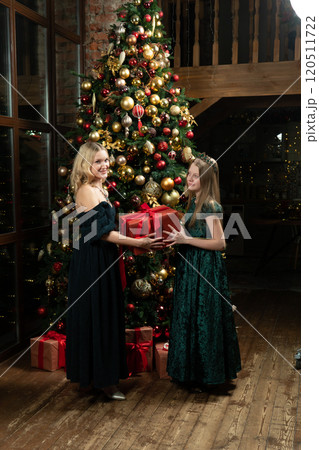 tree winter present people celebration gift holiday surprise christmas girl family decoration 120511722