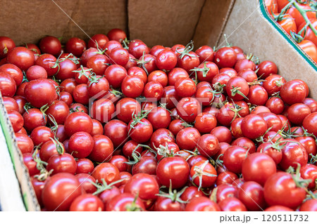 closeup fresh agriculture ripe red food ingredient raw vegetable juicy organic tomato freshness 120511732