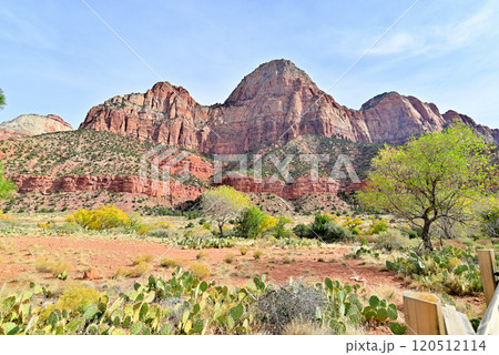 ザイオンミュージアムからの岩峰 120512114