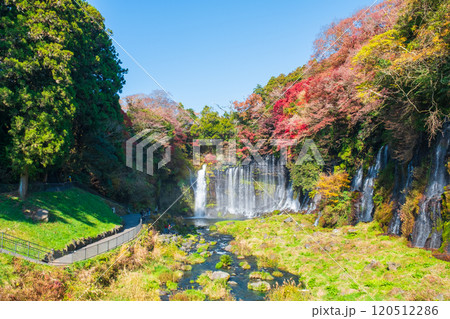 白糸の滝（秋）　[富士宮市] 120512286