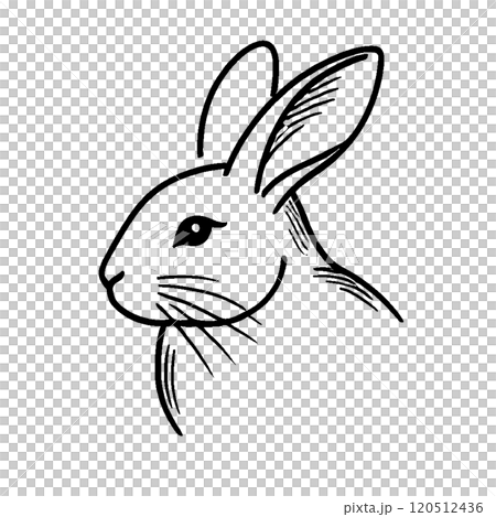 Rabbit face 120512436