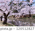 桜のある風景 120512827