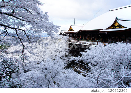 雪化粧した清水寺の舞台 雪化粧した清水寺の舞台 120512863