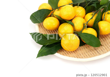 笊に入れた葉付きミカン 120512901