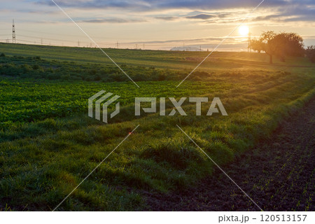 Dramatic Sunset Over Golden Field: Cinematic Landscape with Sun Rays and Vibrant Sky. Breathtaking Rural Scene Blending Summer Greenery and Autumn Hues in Atmospheric Evening Light. 120513157