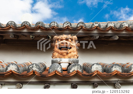 シーサーと夏の空 シーサーと夏の空 120513292
