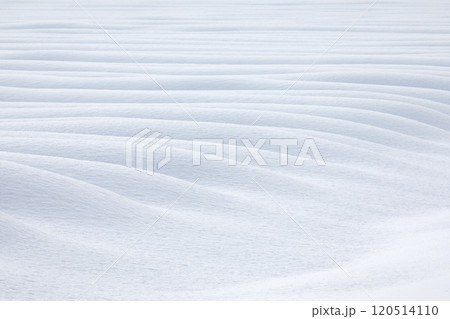 【北海道】雪原の造形美 120514110