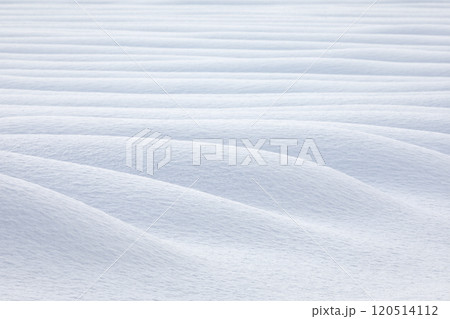 【北海道】雪原の造形美 120514112