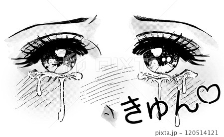 きゅん♡恋する乙女の白黒漫画イラスト 120514121