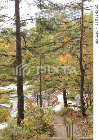 群馬県草津温泉 西の河原公園 群馬県草津温泉 西の河原公園 120514262