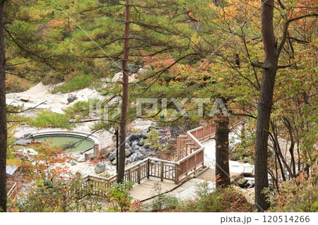 群馬県草津温泉 西の河原公園 群馬県草津温泉 西の河原公園 120514266