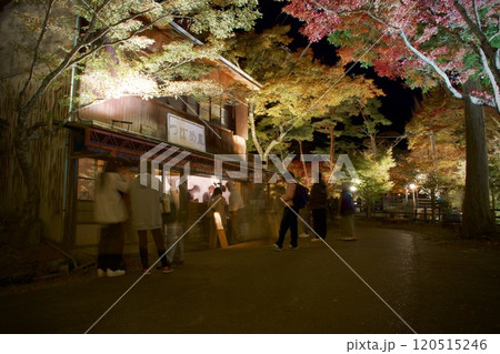 ライトアップされた紅葉と、商店で買い物する風景 ライトアップされた紅葉と、商店で買い物する風景 120515246