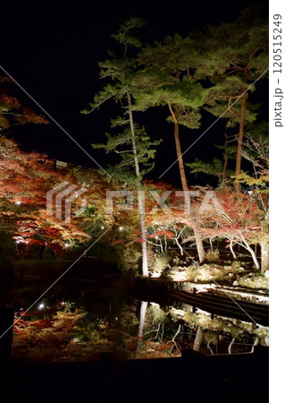ライトアップされた紅葉、岩屋堂公園（愛知県） 120515249