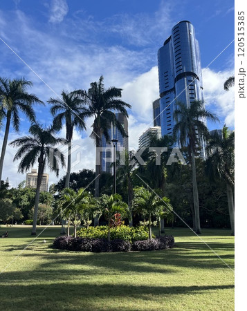 オーストラリア・クイーンズランド州・ブリスベンのボタニックガーデンズ オーストラリア・クイーンズランド州・ブリスベンのボタニックガーデンズ 120515385