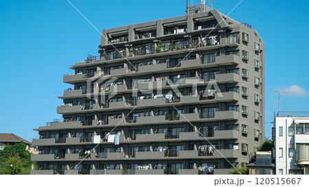 multiplex mansion building in Japan multiplex mansion building in Japan 120515667