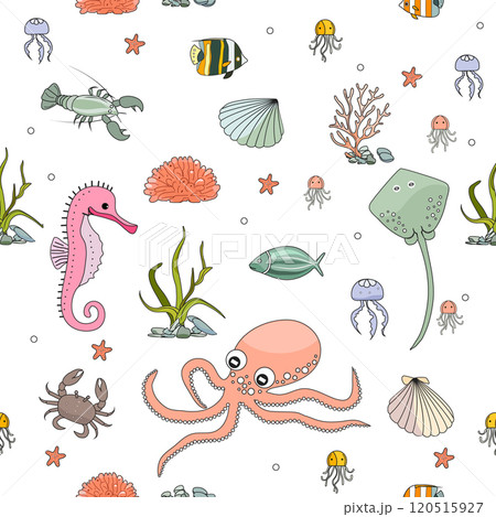 Pattern Underwater Seabed Ocean Sea Marine habitat Pattern Underwater Seabed Ocean Sea Marine habitat 120515927