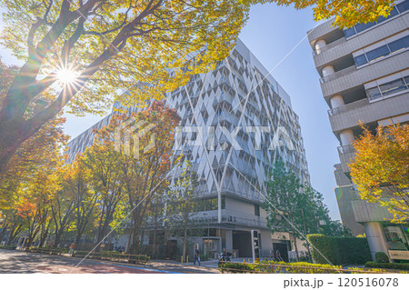 中野区役所 新庁舎 2024年竣工 中野区役所 新庁舎 2024年竣工 120516078