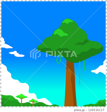 Rainforest 120516117