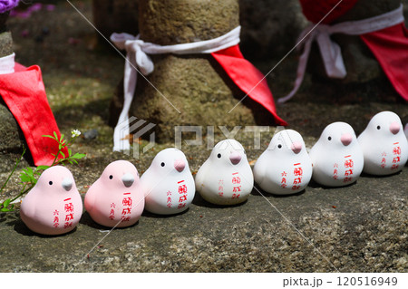 京都 紫雲山頂法寺 六角堂の風景　（京都市中京区） 120516949