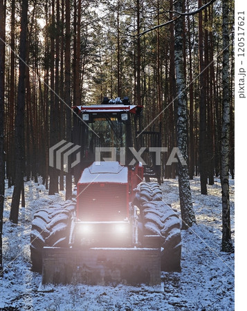 Abandoned combine harvest  in forest with lighted main lights between trees. 120517621