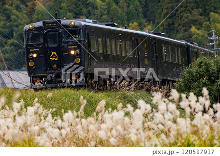 ススキ野原を行くJR九州 D&S列車 特急「かんぱち・いちろく」 120517917