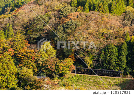 紅葉の山を登るJR九州 D&S列車 特急「かんぱち・いちろく」 紅葉の山を登るJR九州 D&S列車 特急「かんぱち・いちろく」 120517921