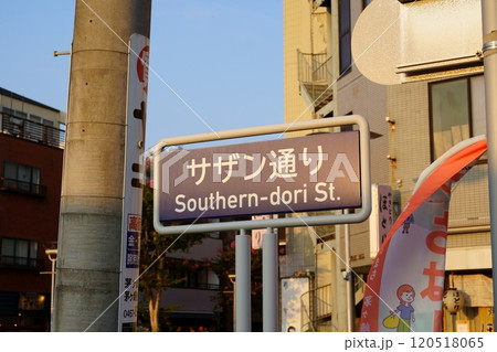 サザン通り(神奈川県茅ヶ崎市) サザン通り(神奈川県茅ヶ崎市) 120518065