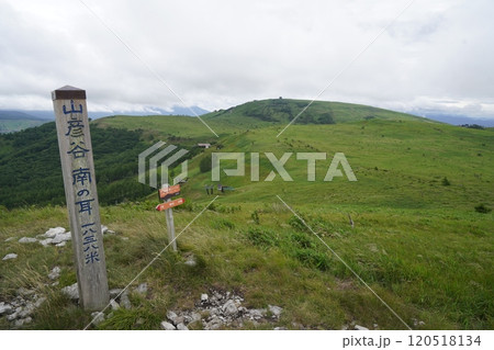 霧ヶ峰高原　山彦谷南の耳から車山を見る　2024年7月10日 120518134
