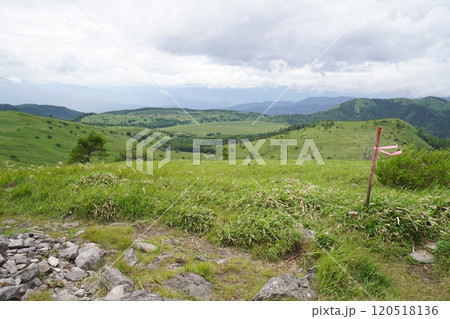 霧ヶ峰高原　山彦尾根の山彦谷北の耳から見る八島ケ原湿原　2024年7月10日 120518136