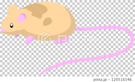 雅瓦格鼠 120518146