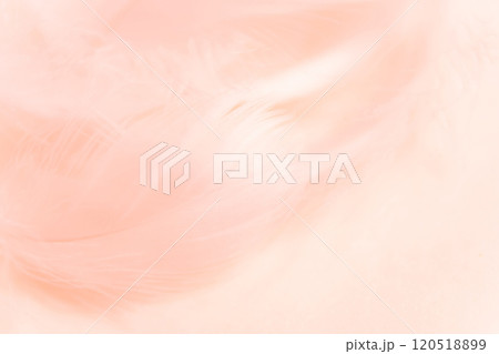 羽根・ふんわり 背景素材 120518899