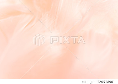 羽根・ふんわり 背景素材 120518901