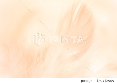 羽根・ふんわり 背景素材 120518909