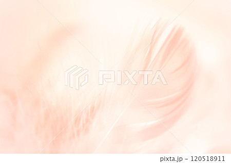 羽根・ふんわり 背景素材 120518911