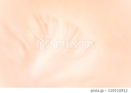 羽根・ふんわり 背景素材 120518912