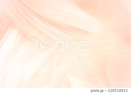 羽根・ふんわり 背景素材 120518915