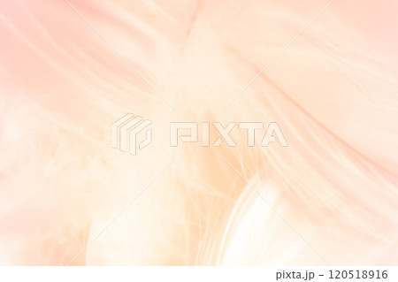 羽根・ふんわり 背景素材 120518916