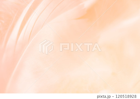 羽根・ふんわり 背景素材 120518928