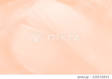 羽根・ふんわり 背景素材 羽根・ふんわり 背景素材 120518931