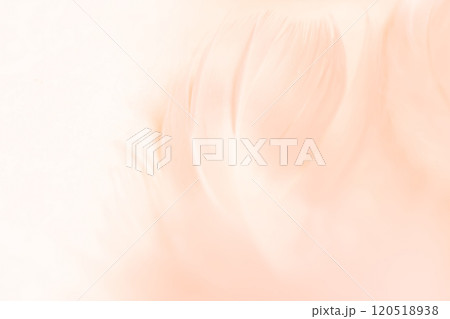 羽根・ふんわり 背景素材 120518938