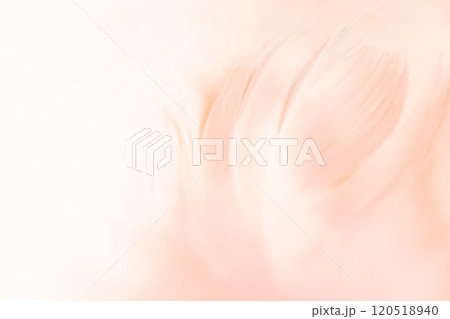 羽根・ふんわり 背景素材 羽根・ふんわり 背景素材 120518940