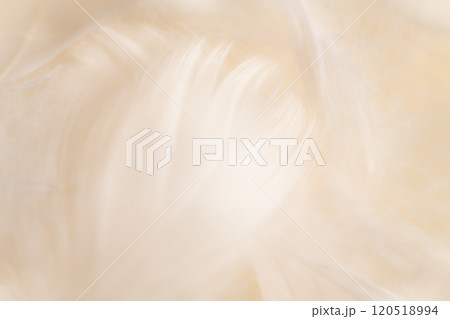 羽根・ふんわり 背景素材 120518994