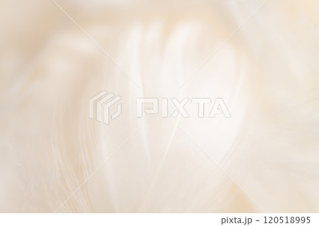 羽根・ふんわり 背景素材 120518995