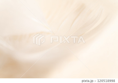 羽根・ふんわり 背景素材 120518998