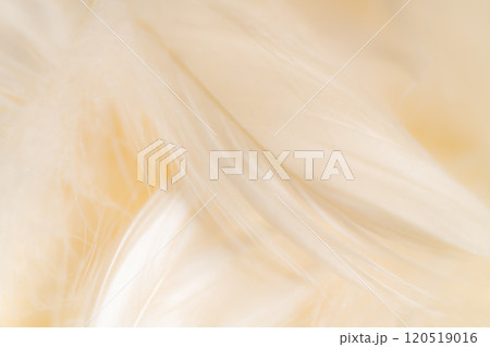 羽根・ふんわり 背景素材 羽根・ふんわり 背景素材 120519016