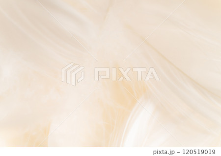 羽根・ふんわり 背景素材 羽根・ふんわり 背景素材 120519019