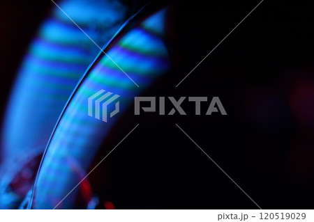 Bright blue structure on black background, oil stains movement, bright chemistry, surreal background Bright blue structure on black background, oil stains movement, bright chemistry, surreal background 120519029