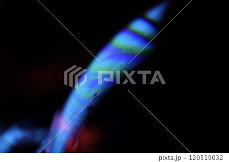 Bright blue structure on black background, oil stains movement, bright chemistry, surreal background 120519032